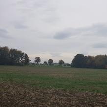 Niedersachsen: Waldgrundstücke in Hildesheim offiziell jagdfrei