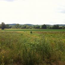 Bayern: 27 Hektar im Landkreis Rottal-Inn jagdfrei