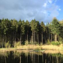 Nordrhein-Westfalen: 6 Hektar im Kreis Mettmann jagdfrei