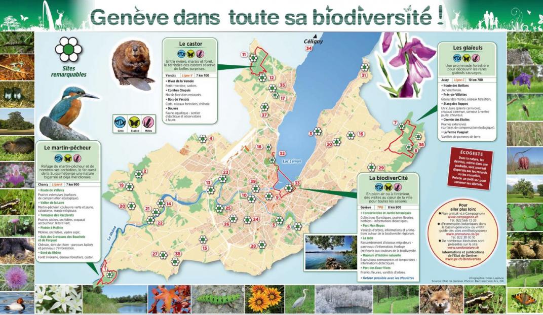 Der Kanton Genf und seine Biodiversität