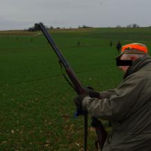 Niedersachsen: Antrag auf Jagdverbot im Kreis Stade