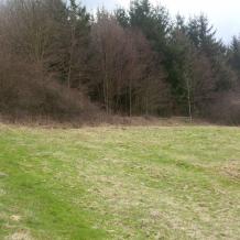 Rheinland Pfalz: 2 Hektar in Kusel jagdfrei!