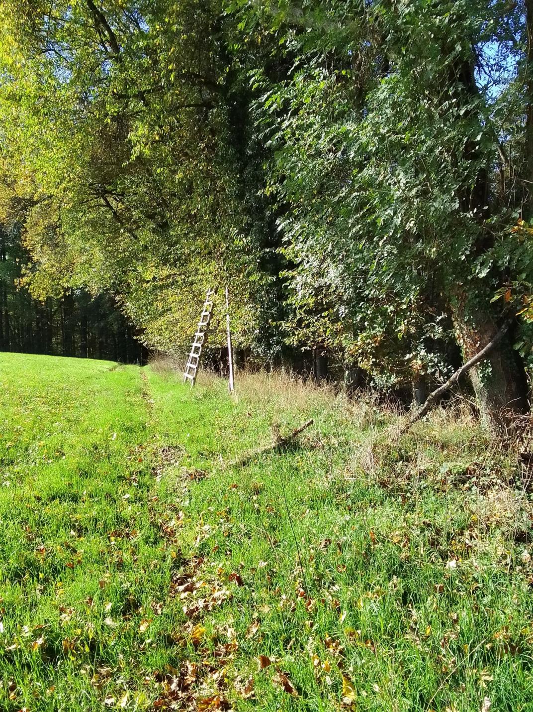 Winzeln 50 m weiter _ BS - Schiessturm in nächster Nähe